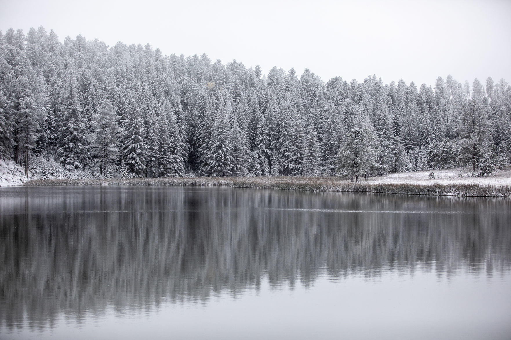 Autumn snow
